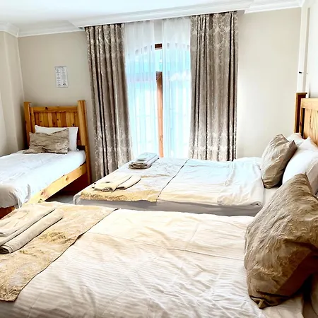 Magnificent Hotell