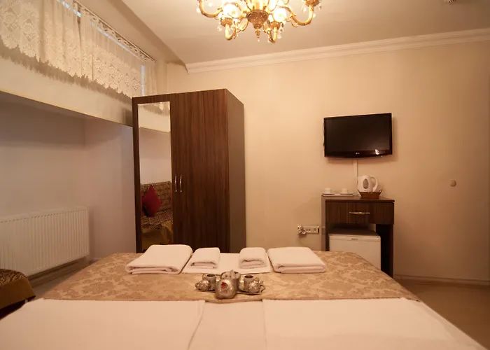 マグニフィセント ホテル 3*