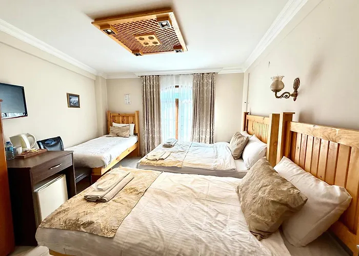 マグニフィセント 3* イスタンブール