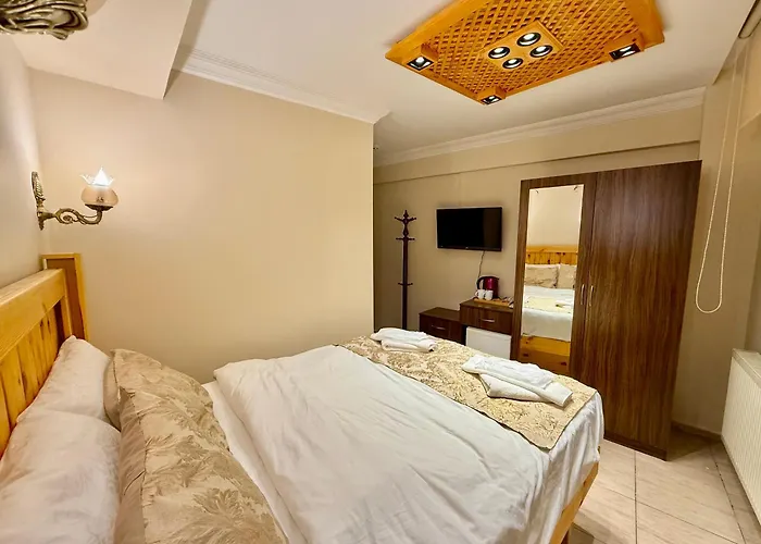 ホテル マグニフィセント