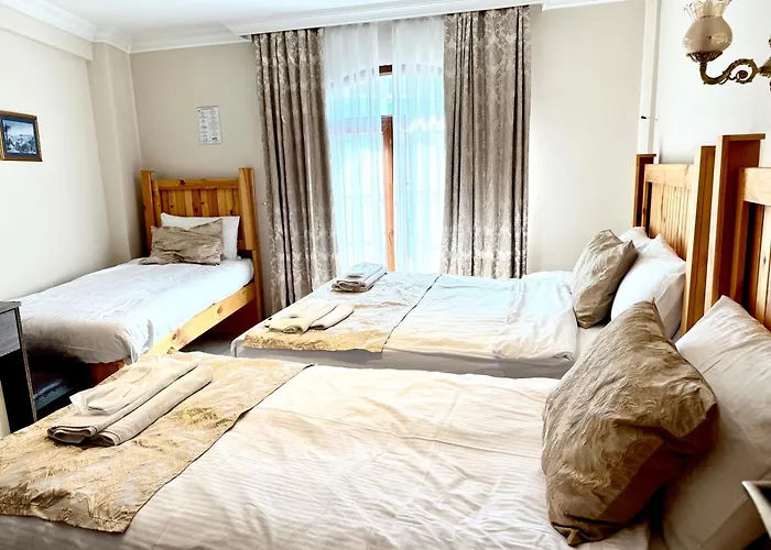 マグニフィセント ホテル